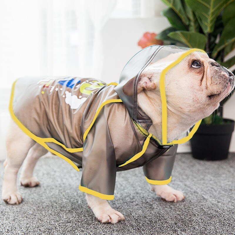 Manteau imperméable pour chien bouledogue français, Poncho Transparent givré à quatre pattes pour petit et moyen gabarit: Black / S