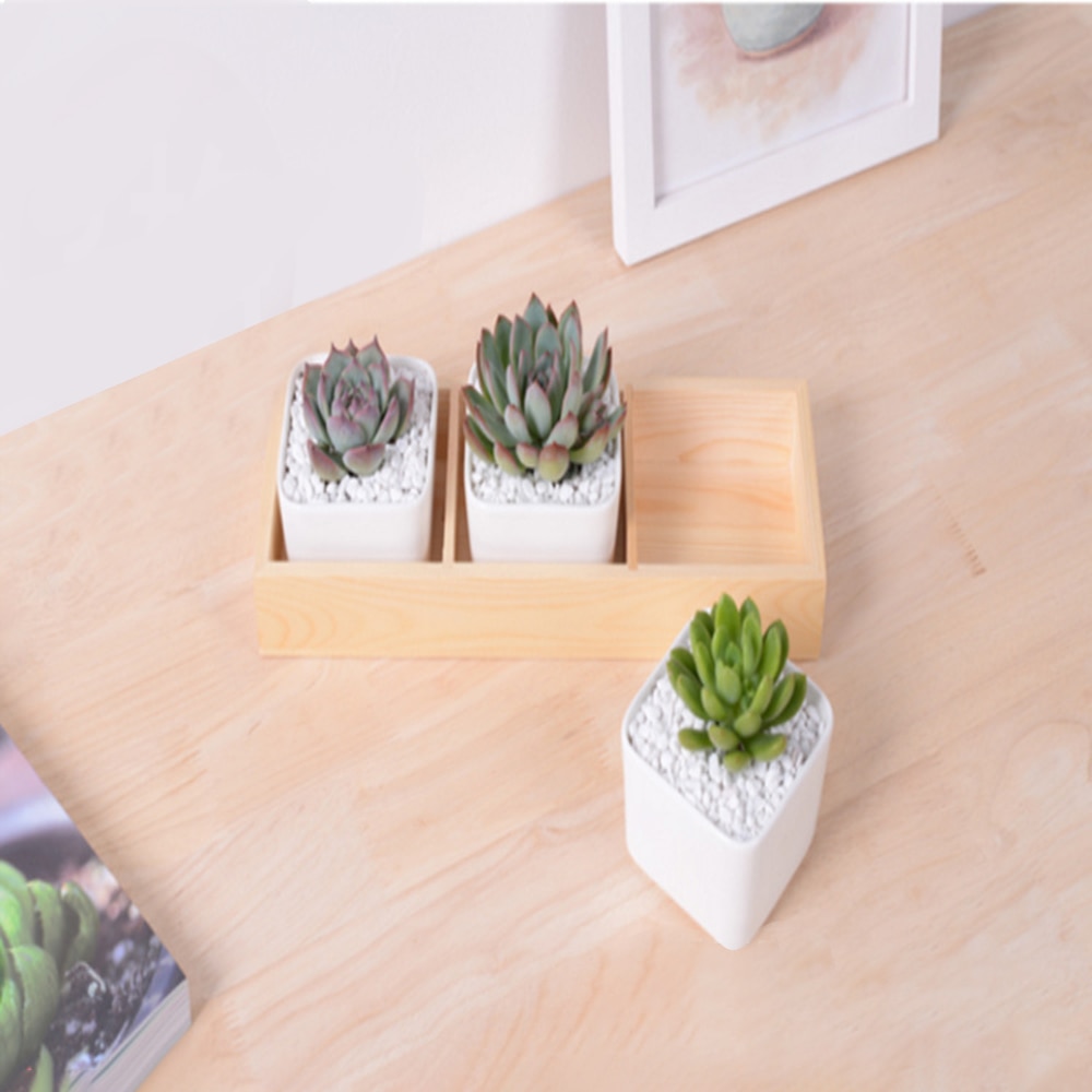 3 rutenett sukkulent plante kjøttfull urtepotteboks brett dekorative beholdere kaktus planter blomst bambus brett holder stativ