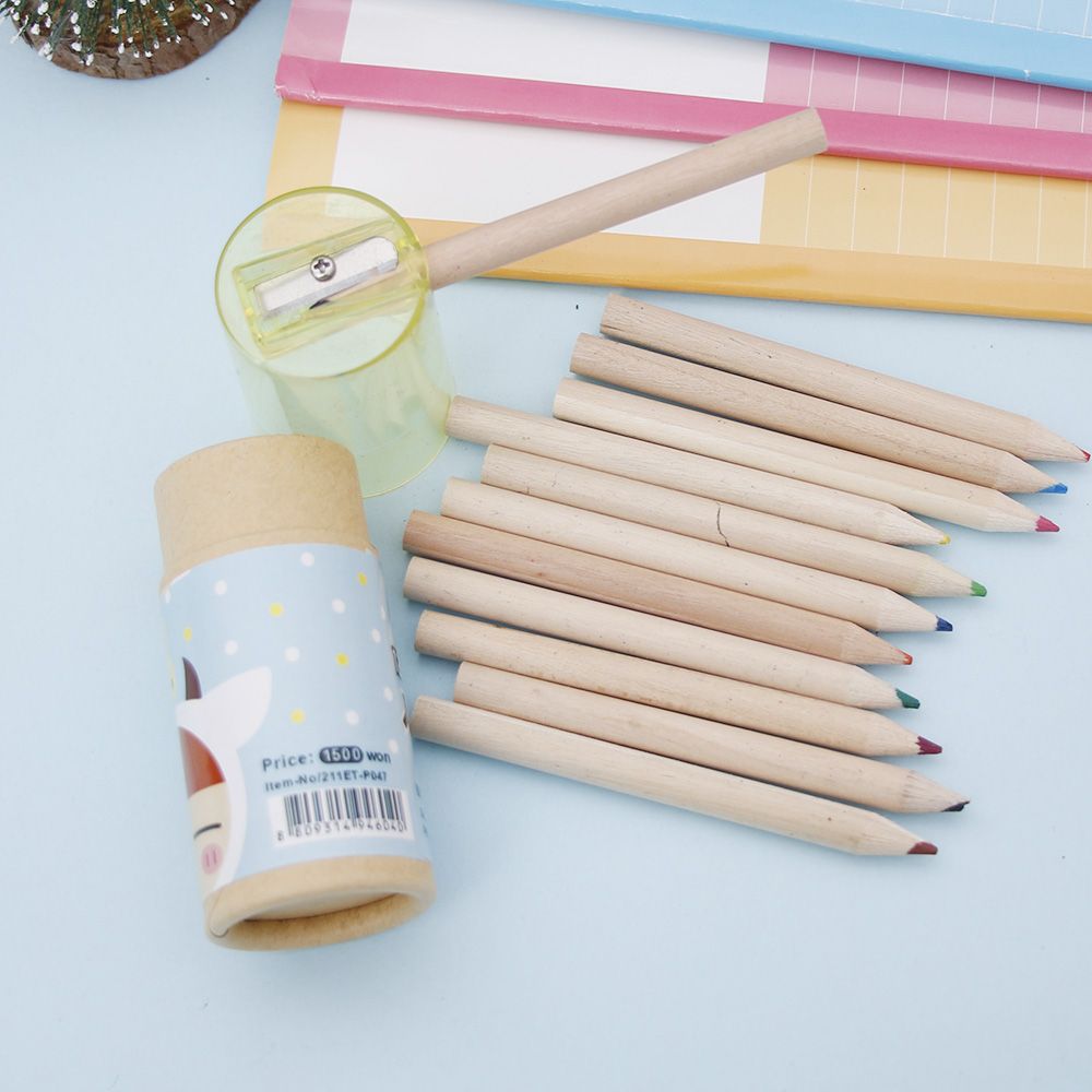 12 Colors Set Artist Fine Drawing Painting Sketching Writing Drawing Pencil Box Cases MIni Stationary