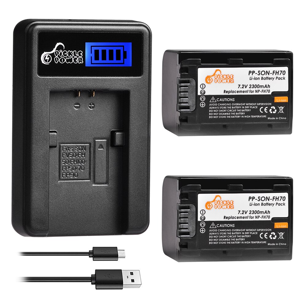 NP-FH50 Battery+LCD USB Charger Replacement for Sony DCR-DVD650 HC20 HC21 HC22 HC48 HC51 HC52 HC53 HC62 SR42 SR45 SR65 SR82: Charger and 2Battery