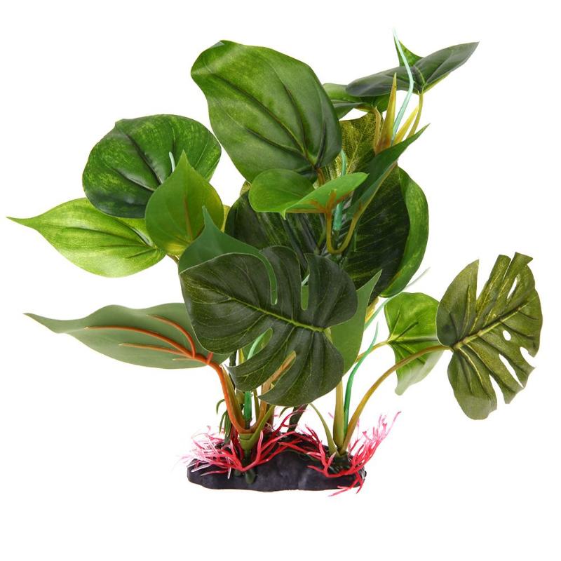 50-52cm Pink Broad Leaf Aquarium Plant - United Aquatics UK