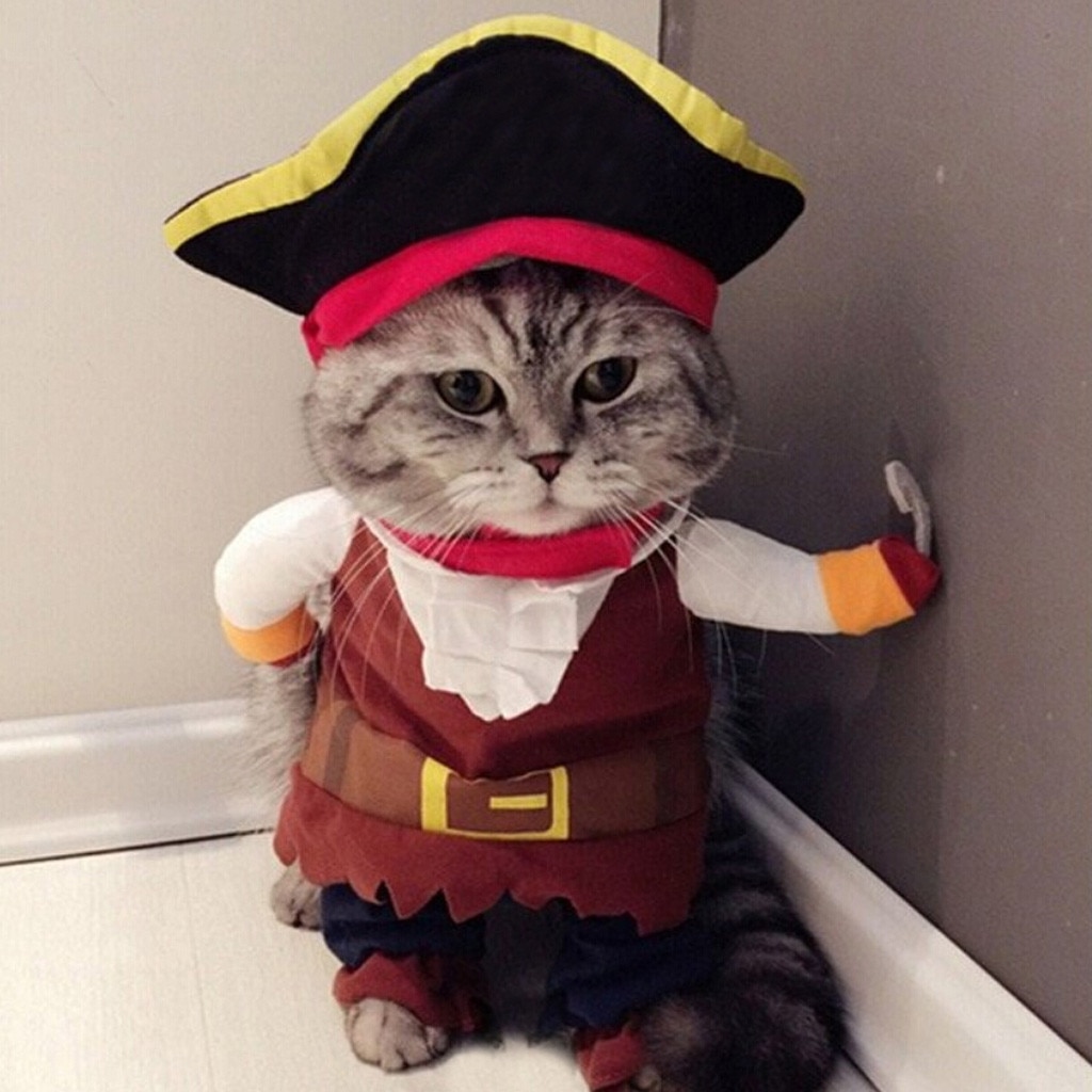 cute funny Cosplay clothing for Pet Funny Cat Costumes Clothing Dress Clothes for party Cosplay different career#0212y10: G / L