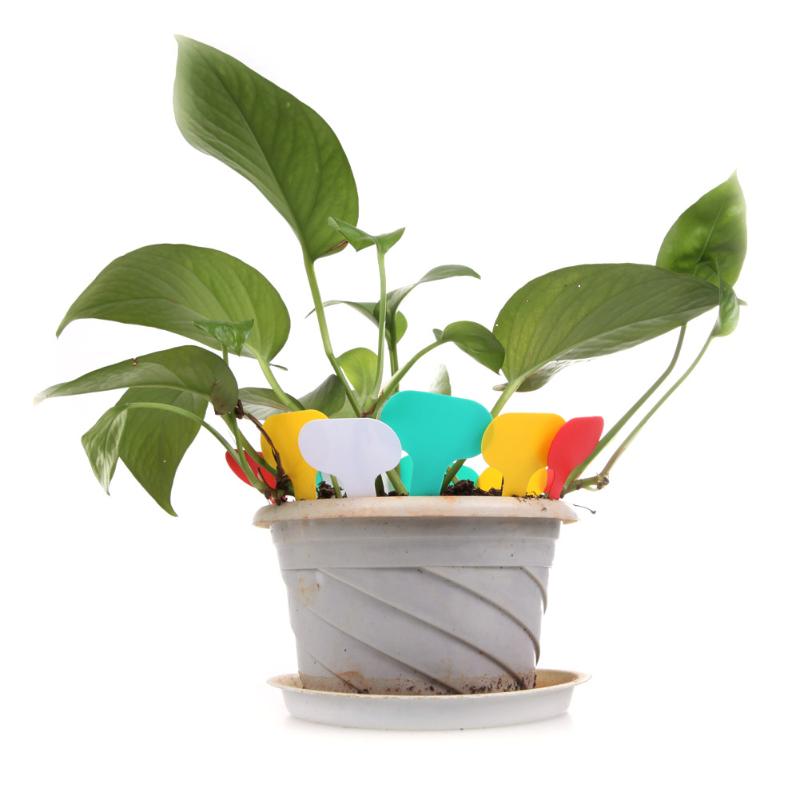 100Pcs Plastic Plant Labels Mark T-type Plastic Nursery Garden Reusable Plant Flower Tag Label Flower Thick Tag 4 Color