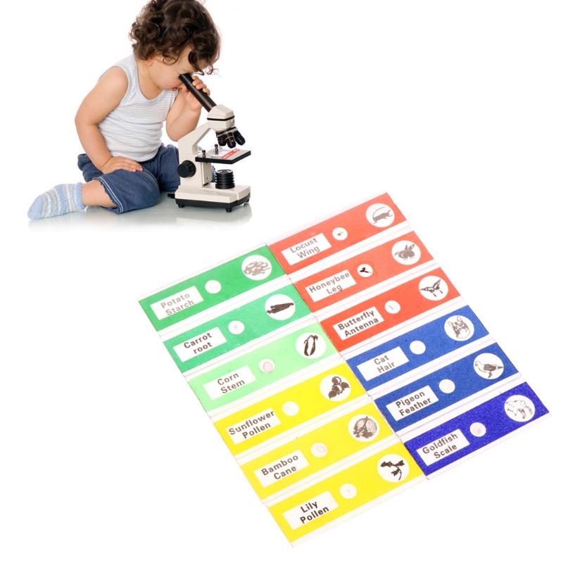 12 Pcs Prepared Microscope Slides Set Specimen For Student Basic Biology Education J2FA