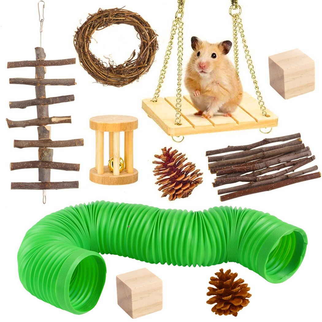 Hamster Chew Toys Natural Wooden Hamster Toys 10 pcs Set Gerbils Guinea Pigs Hamster Chew Toys Small Animal Pet Molar Toys