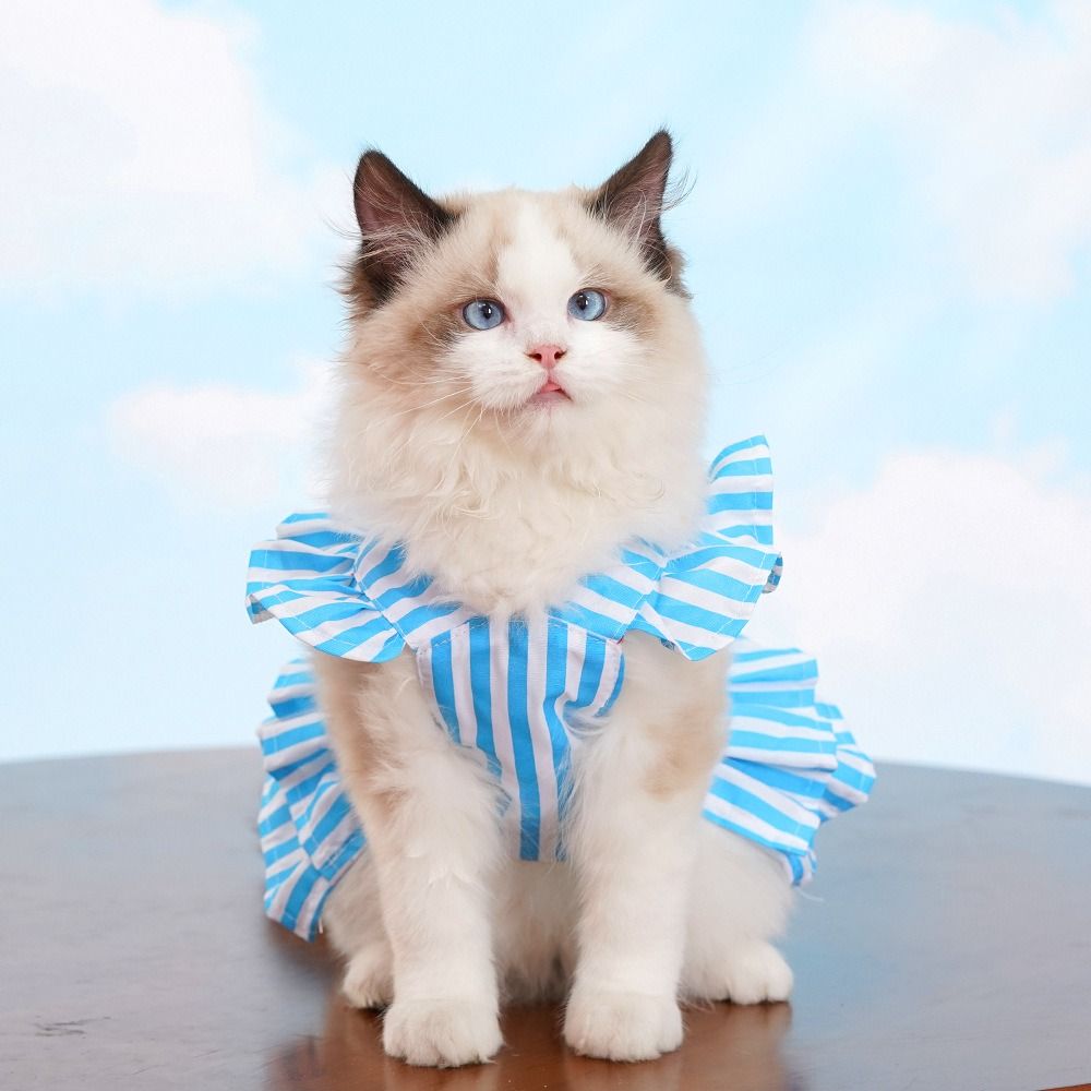 Vestiti per animali domestici con maniche volanti alla moda, gonna da principessa per gatti morbidi e carini, gilet estivo traspirante per cani per gatti cuccioli