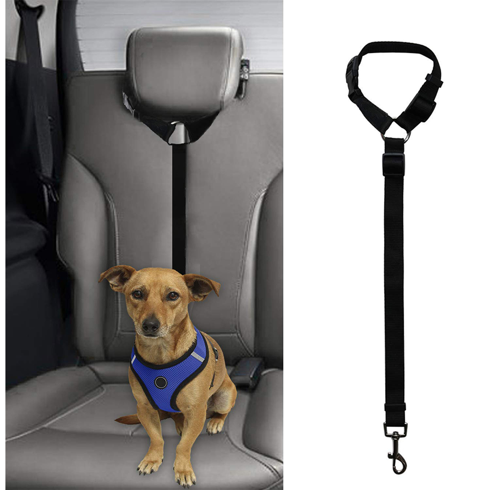 Universel praktisk hundekat kæledyrs sikkerhed justerbar bilsele selesnor bånd rejse klipsrem bly kæledyrs sikkerhedssele: Sort