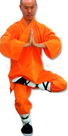 Uniforme de Shaolin de algodón para niños y adultos, ropa de Wushu, kung fu, traje budista, traje de entrenamiento de artes marciales de Tai chi y Kung fu: Orange / 160cm