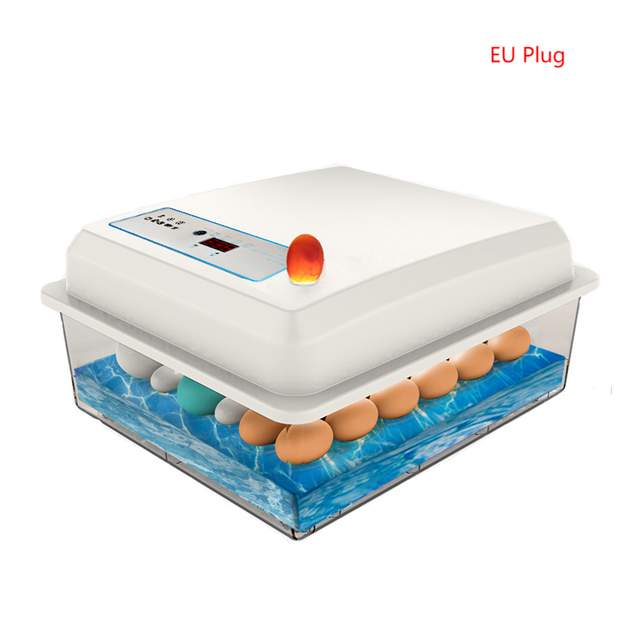 20-50 eggs household incubator small plastic bionic water bed incubator automatic temperature control egg incubator 220V US-plug: WHITE