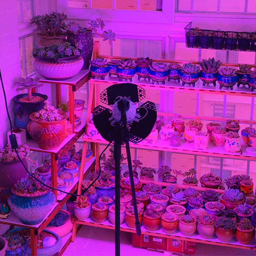 6pcs COB LED Chip Grow Light Full Spectrum Light 50W 30W 20W LED Grow Light for Greenhouse Hydroponic Flower Seeding Grow Light