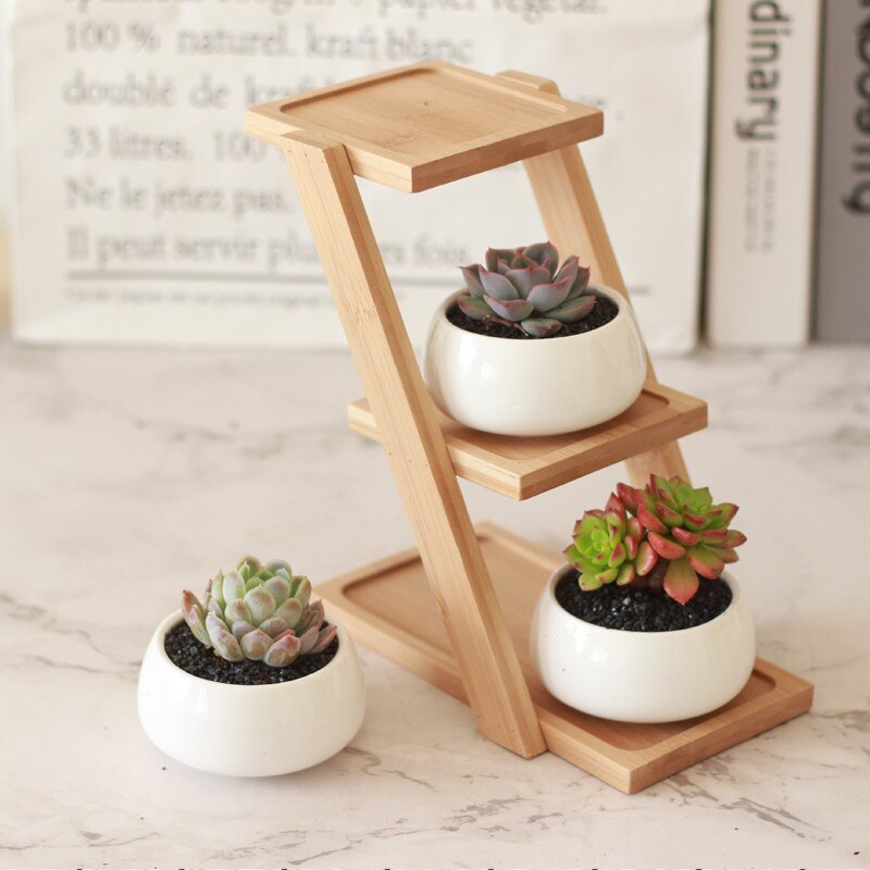 Hvid porcelæn sukkulenter potte grønne planter urtepotte med bambus bakke kontor bordplade planter kortfattet vase boligindretning