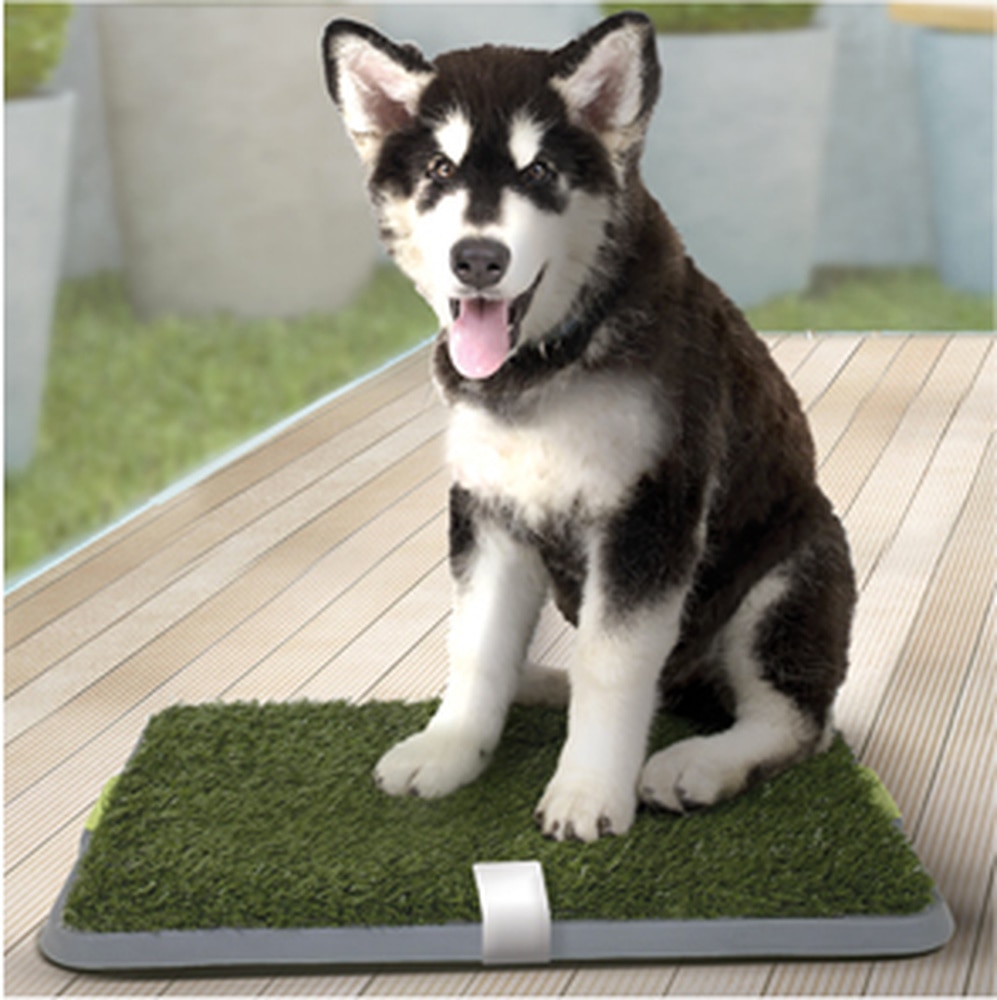 3-layer Outdoor Indoor Potty Training Tray Large Dog Grass Potty Artificial Turf Potty Tray Pee Padm for Small Dog