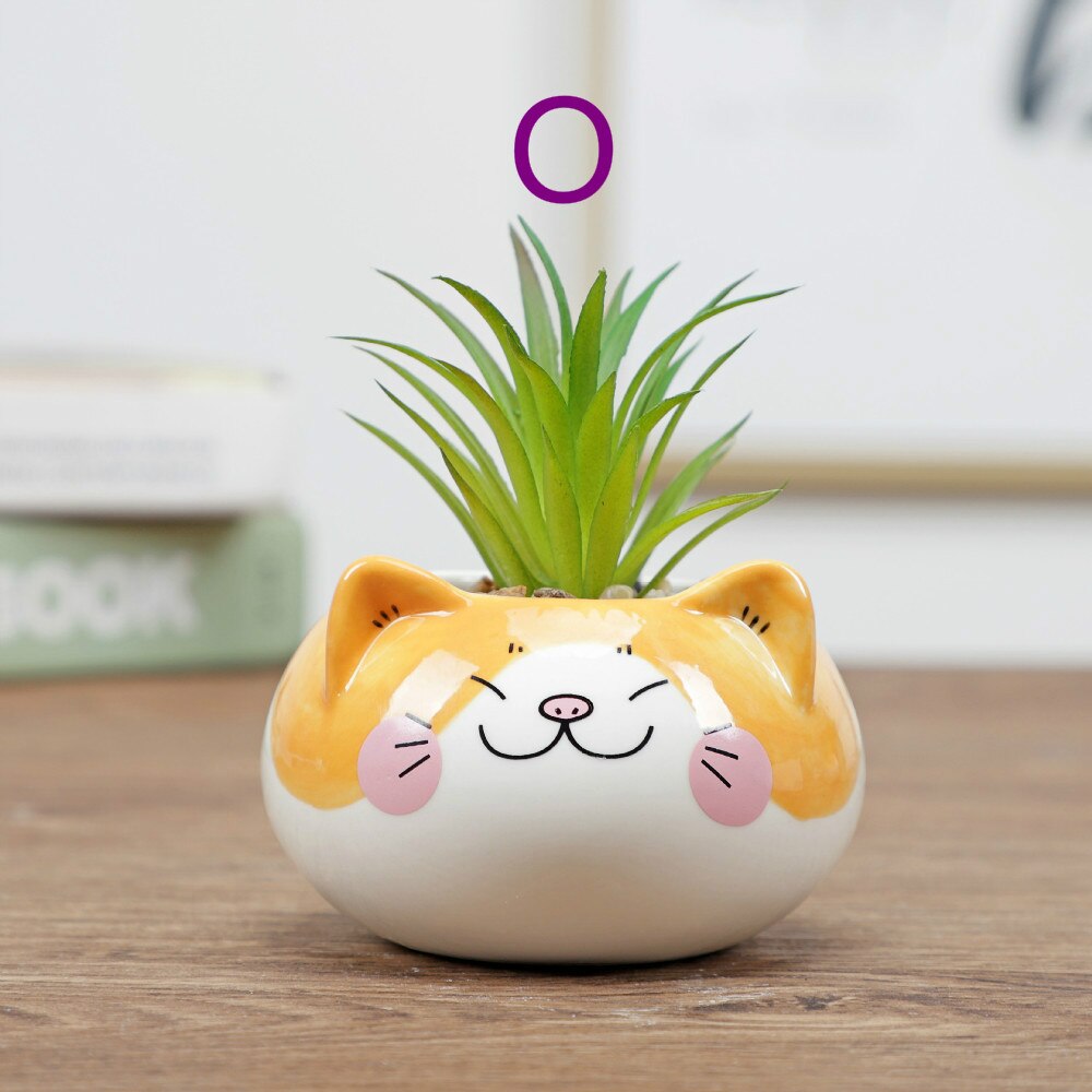 Dessin animé Animal Pot de fleur Pot d'intérieur Succulent plante Pot décoration de la maison artisanat décoration: O