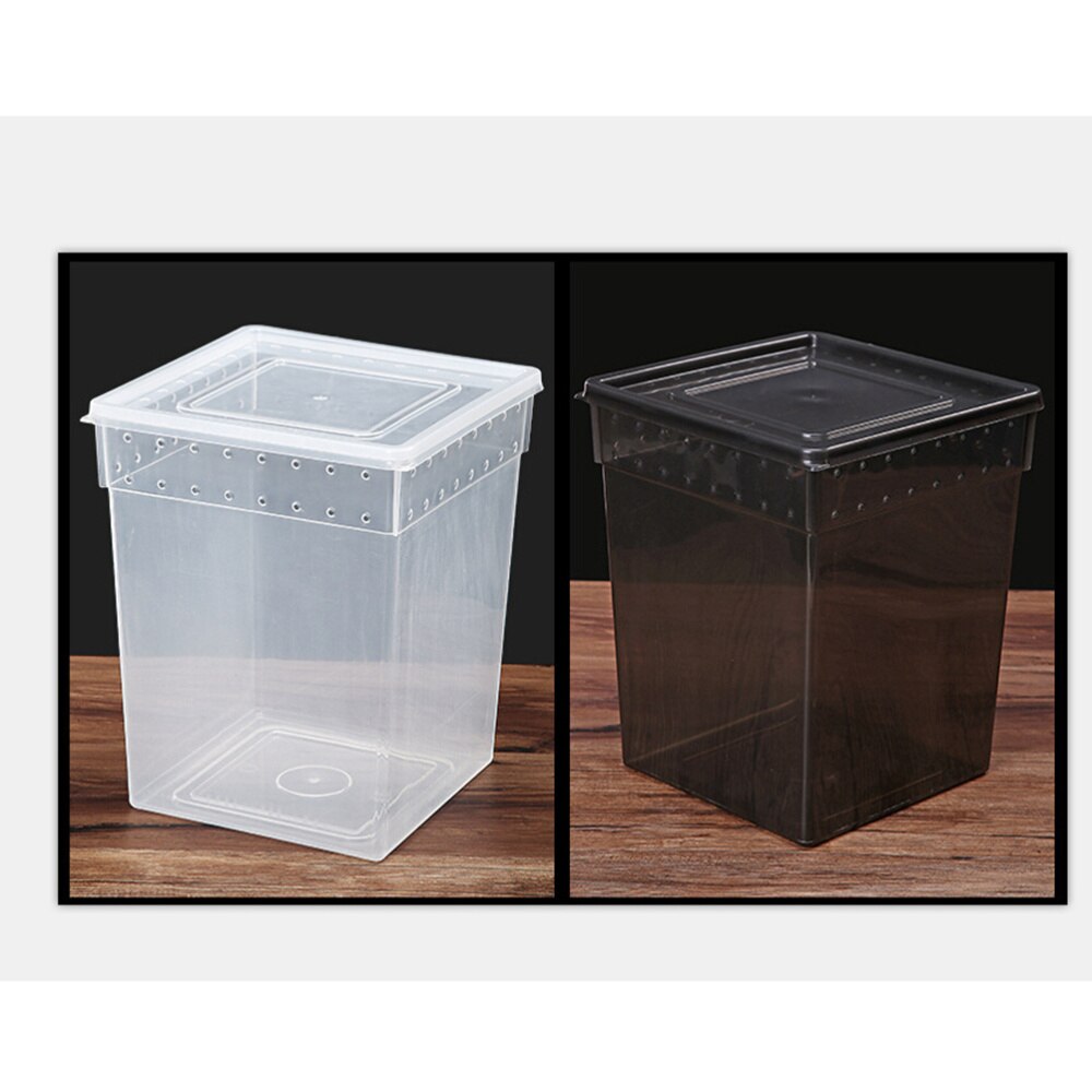 Reptile Box Climbing Pet Feeding Container Special Transparent Breeding Box for Spider Lizard Tree