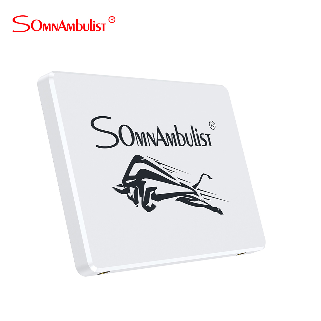 Ssd sataIII testa di toro bianco, 120GB 240GB 480GB 960GB 2TB notebook SSD a stato solido incorporato