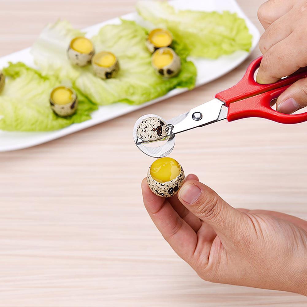 Ciseaux à œufs de caille en acier inoxydable, coupe-œufs, ouvre-cigare, coupe-lame, outil de craquelage pour la maison, fournitures de cuisine