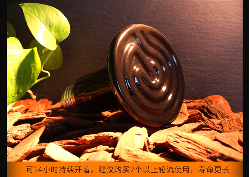 Climbing pet ceramic light heater reptile tortue pet hedgehog lizard infrared insulation heating lamp bulb aquarium for turtle