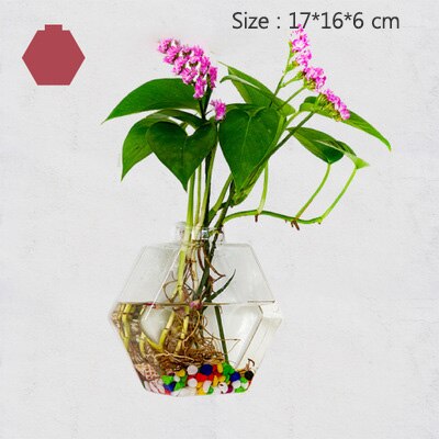 Europese glazen hydrocultuur wandbloemvaas, groene planten, wanddecoratie, aquarium, knutselen, scandinavische bloempot: 900- liter