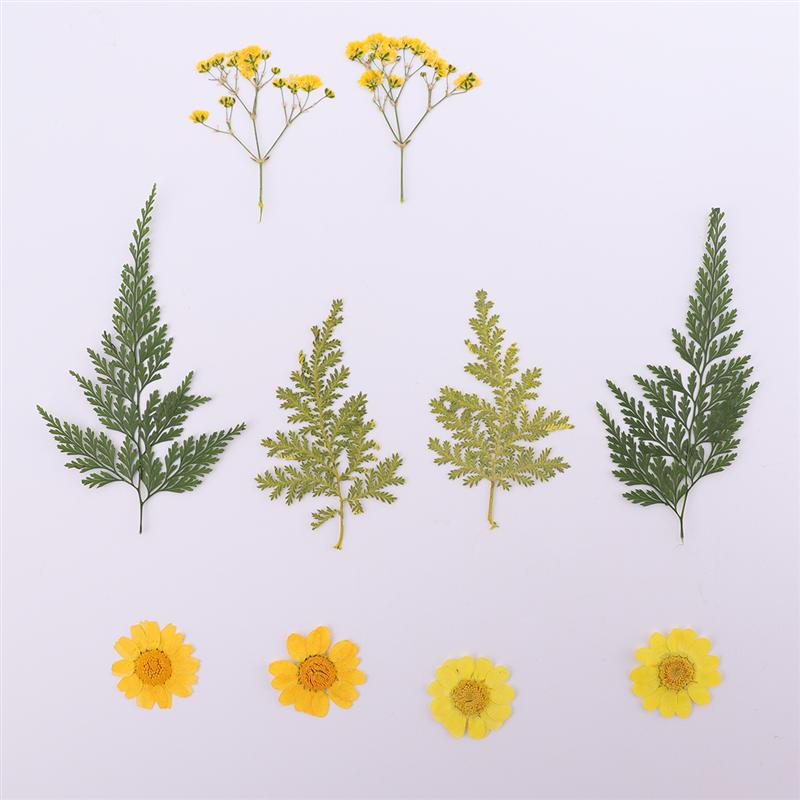 2 Sheets/Total 20pcs DIY Pressed Flowers Sticker Dried Leaf Flowers Plants Patches for Crafts Making (Orange and Yellow)