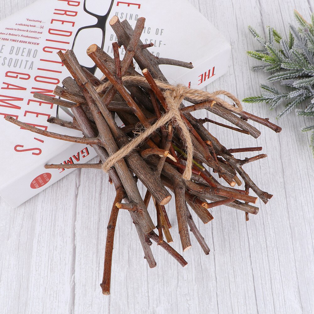 10 pièces 15CM Simulation de noël bricolage pommes de pin bâtons Branches sèches bâtons en bois pour bricolage artisanat accessoires Photo