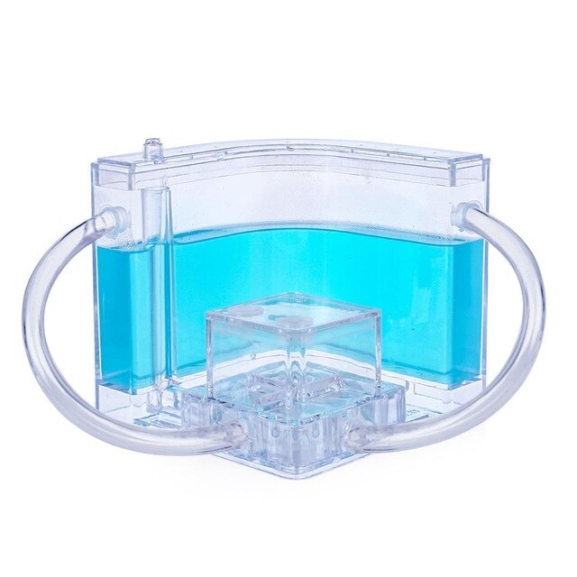 Granja de hormigas de colores para niños, casa de hormigas, decoración transparente, luminoso: blue