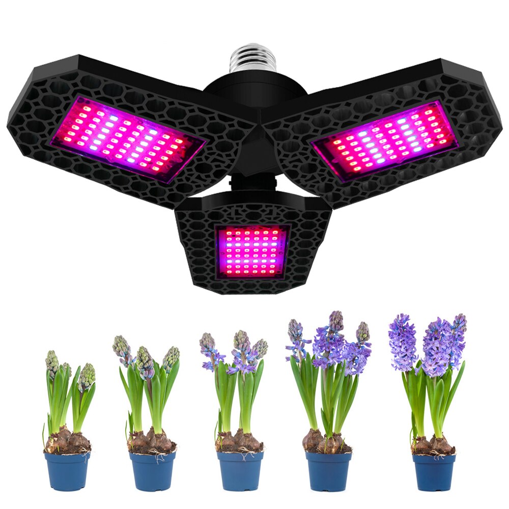 Full Spectrum LED Grow Light Plants Indoor Growing Lights E27 Bulb Phytolamp Red Warm Greenhouse Vegs Seed