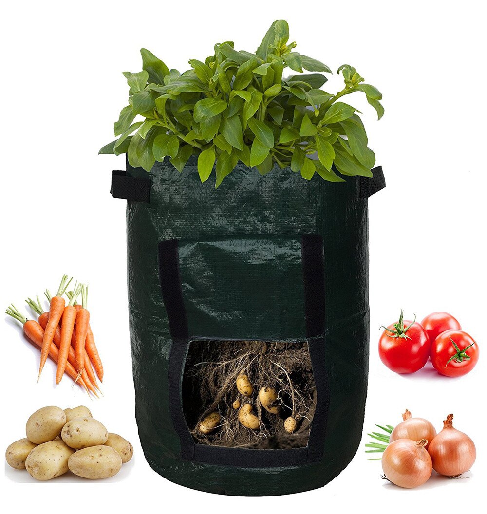 Aardappel Groeien Container Bag Diy Planter Pe Doek Planten Plantaardige Tuinieren Plantaardige Pot Planten Grow Bag Tuin Gereedschap: Dark Green 34 x 45cm
