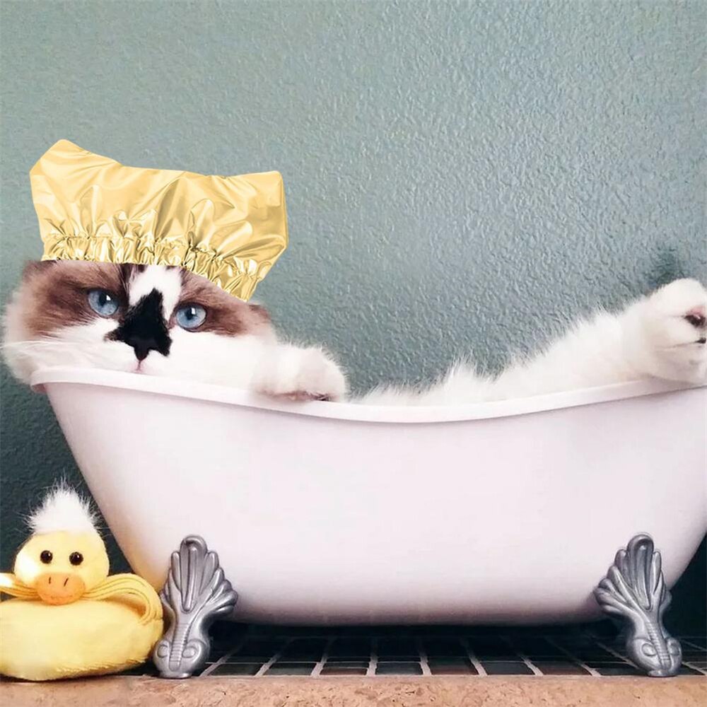 Gorro de ducha para gatos, capucha de agua antiorejas, impermeable, ajustable, a prueba de orejas, para baño, SUMINISTROS DE ASEO para mascotas