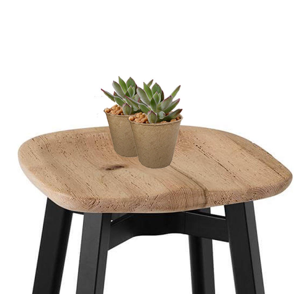 10/50/100Pcs Round Biodegradable Peat Pots For Seedlings Plant Pots Kit Perfect For Vegetables, Fruits, Succulents