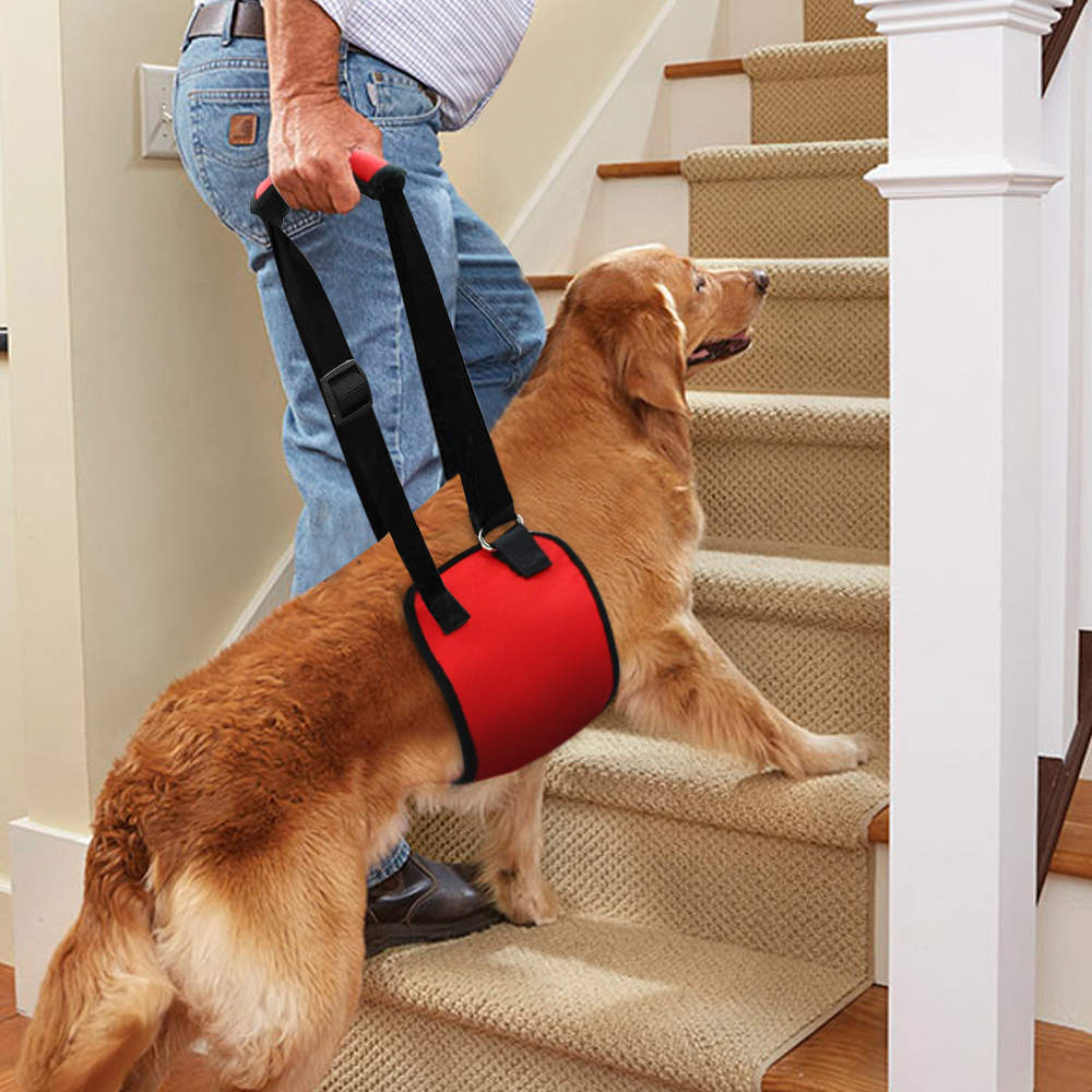 Pets Dog Harnesses Outdoor Hand Strap Walking Adjustable Vest Harness Carry On Pet Product for Small Large Dogs Pets Pug MP0005