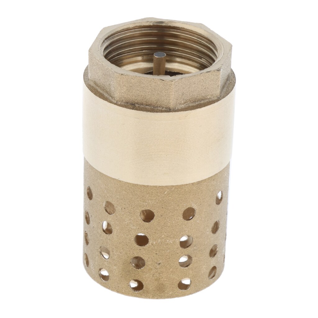 Brass In-Line Check Valve with Strainer 1 inch, Easy to Install