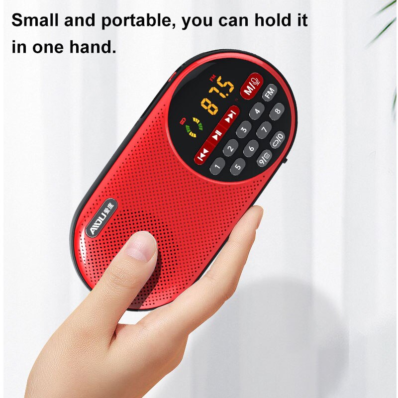 4000mAH Rechargeable FM Radio Portable Speaker Music Player with LED Display Support TF Card U Disk 3.5mm Headphone Jack