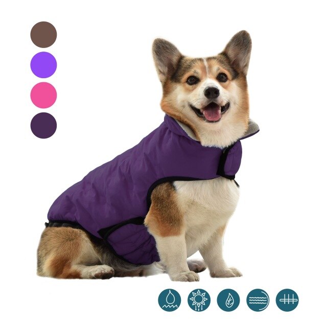 Französisch Bulldogge Korgi Hund Kleidung Mantel Haustier Kleidung Winter Welpen Katze Kleidung Jacke Für Kleine Große Hunde Katzen Weste Ropa perro: Violett / XXL