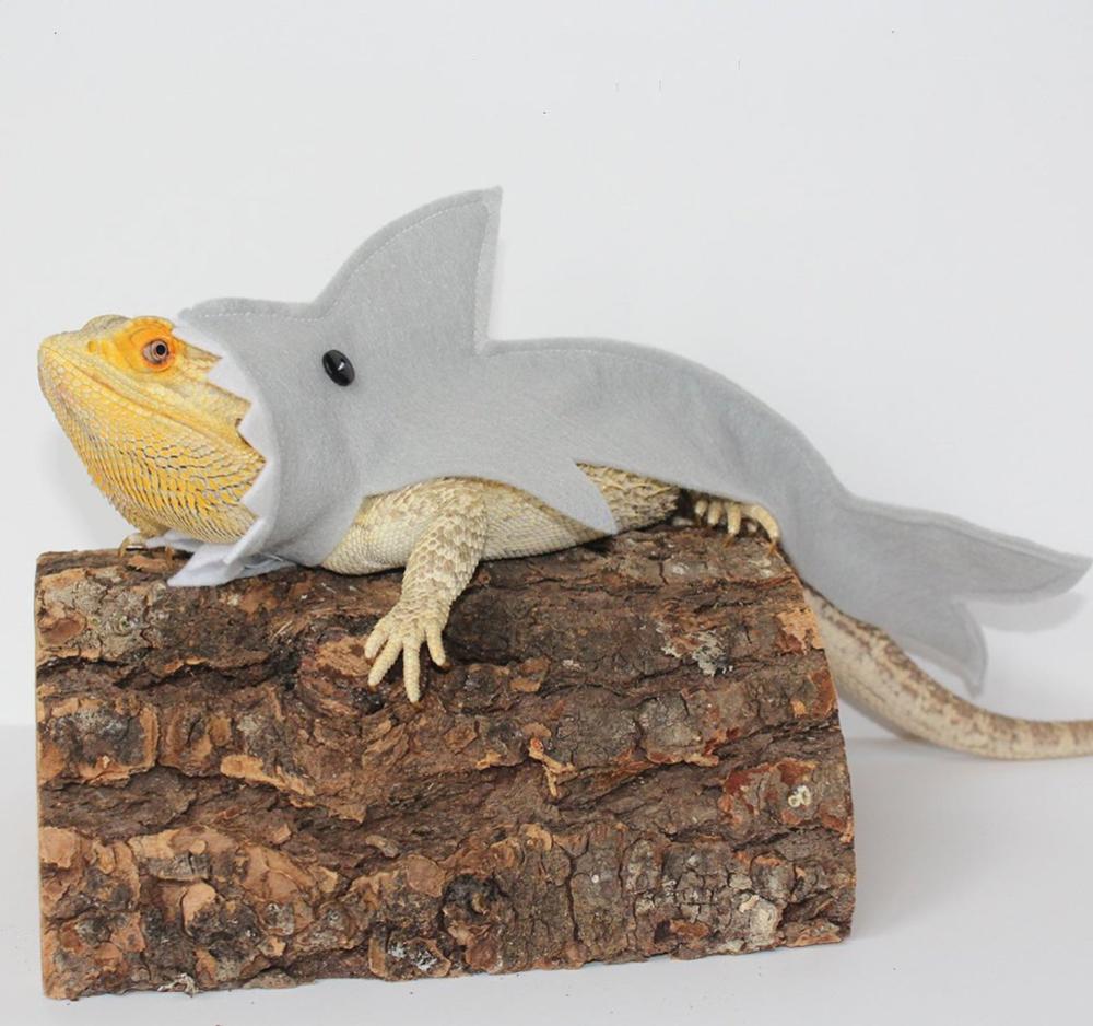 Shark Costume for Bearded Dragon Reptiles Clothes Lizard Shark Clothes Small Pet clothes Gecko