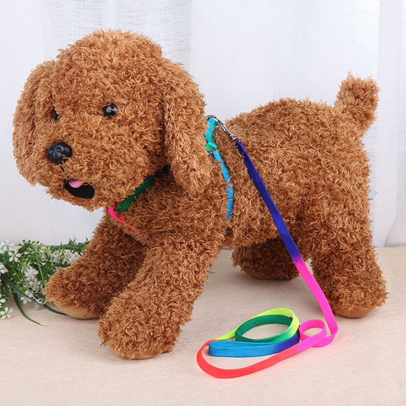 Huisdier Aangelijnd Kit Kleurrijke Borst Terug Trekkabel Mode Regenboog Hond Keten Zachte Puppy Leash