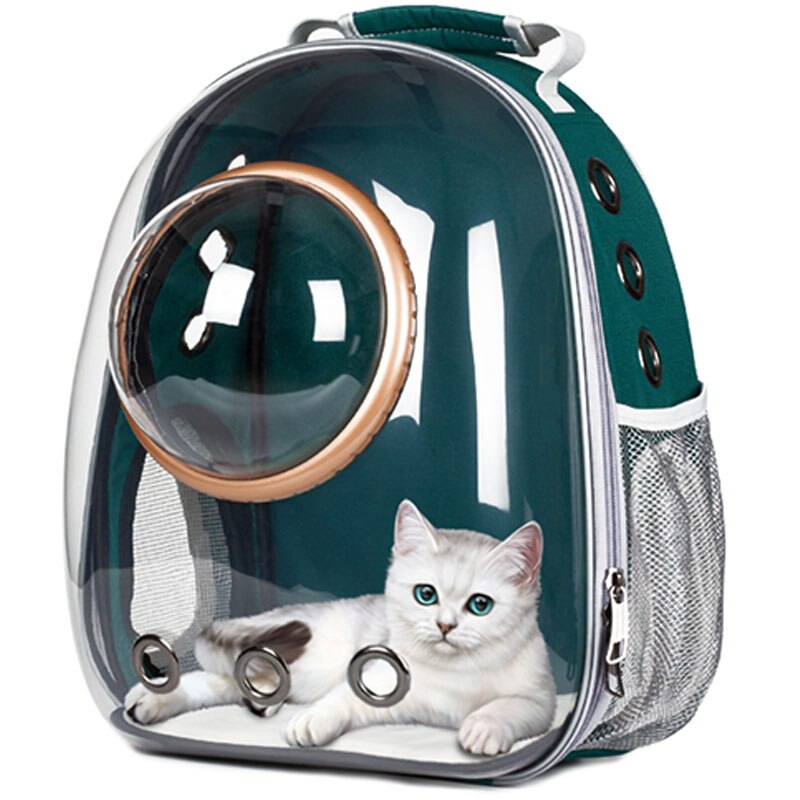 Top Astronaut Space Capsule Ademend Auto Bike Venster Bubble Kat Hond Reizen Draagtas Transparante Pet Carrier Rugzak: Green(Gold Ring)