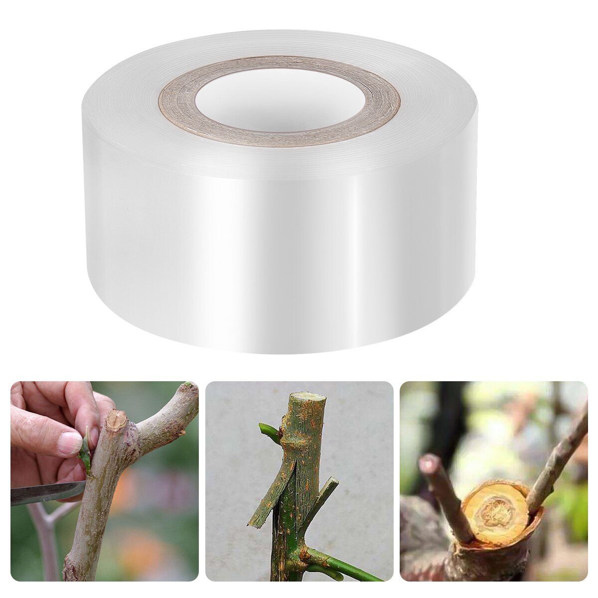 1pc PE Grafting Tape Stretchable Moistureproof Clear Floristry Film for Pecans Walnuts Citrus Avocado Fruits Tree (30mmx100m)