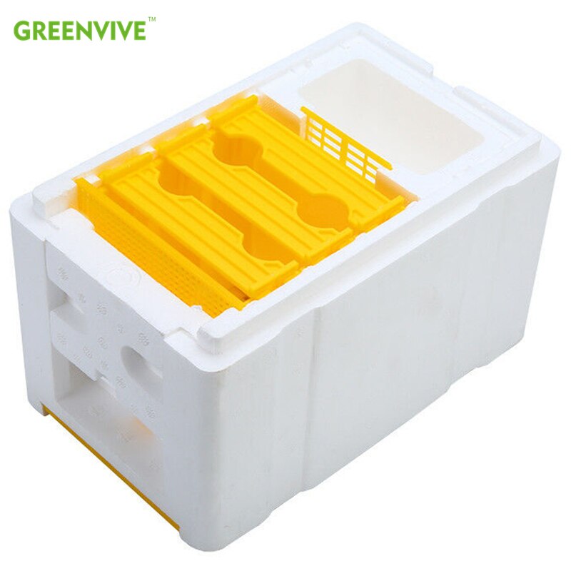 Mini Mating Box Removable Feeder Mating Beehive with Plastic Frames Beekeeping Pollination Box Nuc Beehive