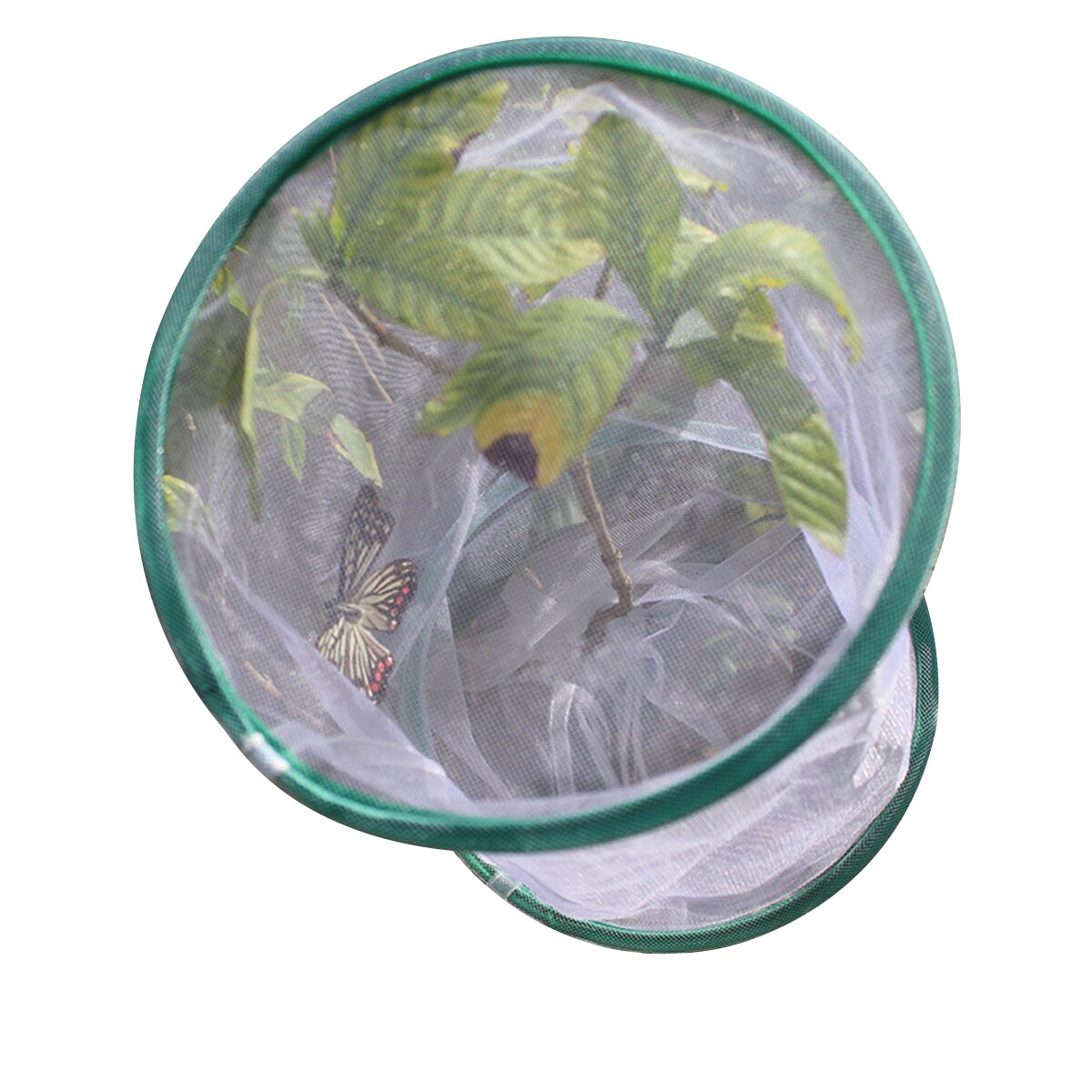 Cage à insectes Transparent suspendu Nature Observation aéré papillon abeille Habitat maison outil d'élevage