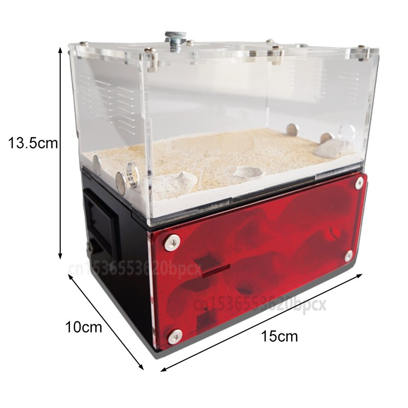 Ant house pet ant nest original ecological concrete nest ant nest ant Castle