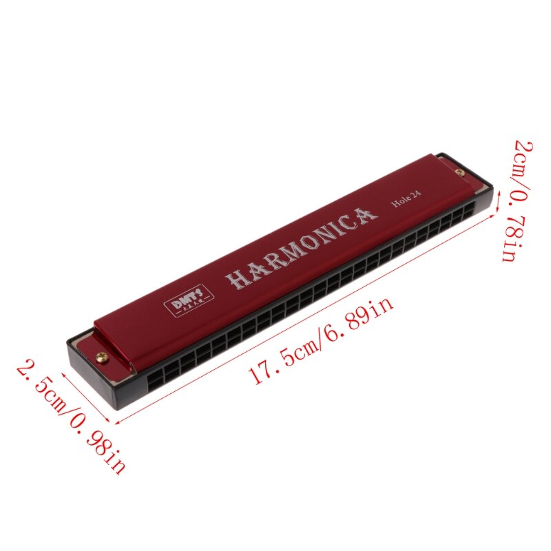 Professionele 24 Hole Harmonica Sleutel Van C Mond Metalen Orgel Voor Beginners