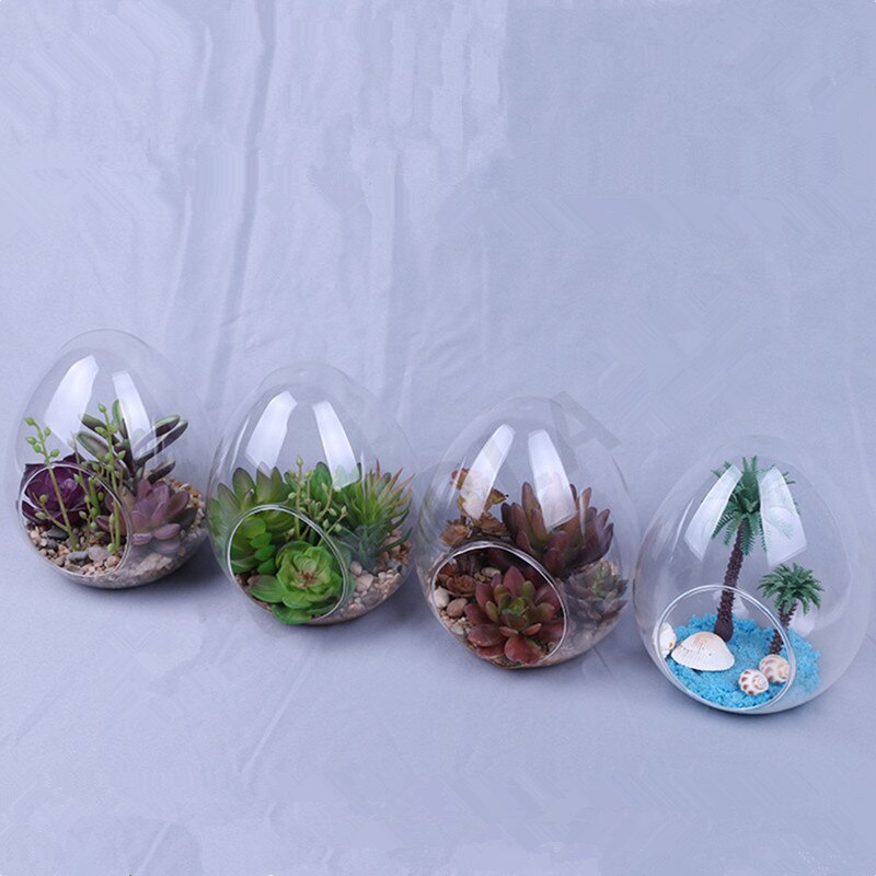 12pcs/pack 8*10cm Small Size Egg Shaped Glass Terrarium Vase Diameter=8cm Height=10cm Microscape Hydroponic Plant Decoration