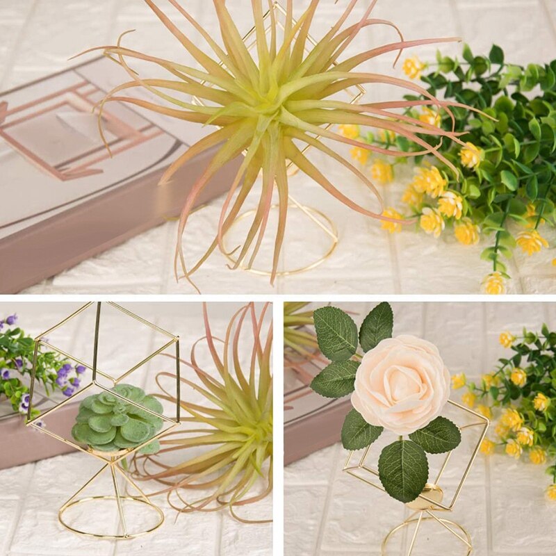 2 pack luftväxthållare tillandsia luftväxter står hängande behållare displayställ för idé