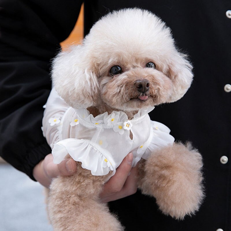 Ropa de primavera y verano para perros, falda tridimensional de hilo de flores, ropa para mascotas, ropa para gatos, Yorkshire, Chihuahua, cachorro