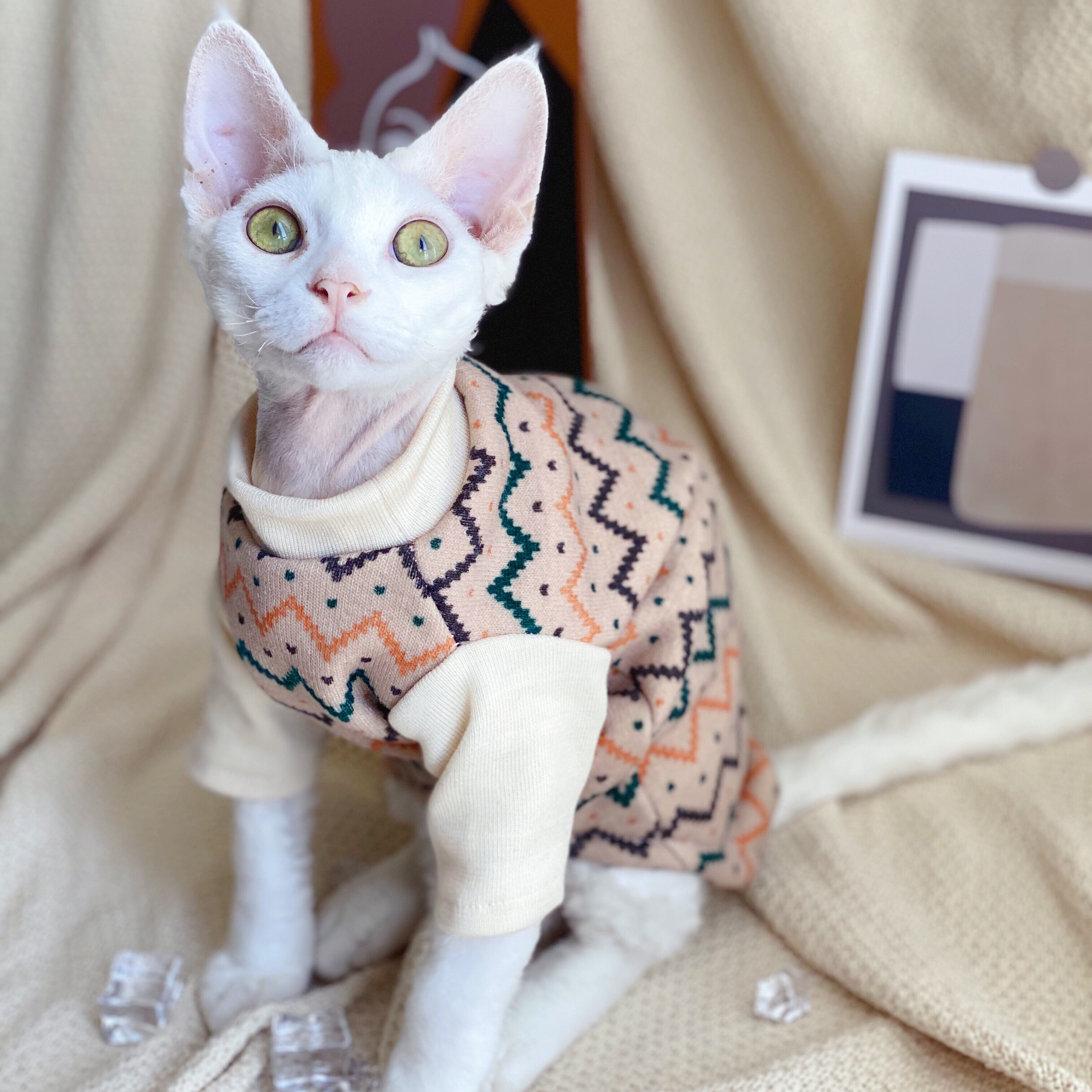 Ropa sin pelo para gatos, suéter de pierna corta para mascotas, abrigo de felpa de invierno, ropa para perros y gatos