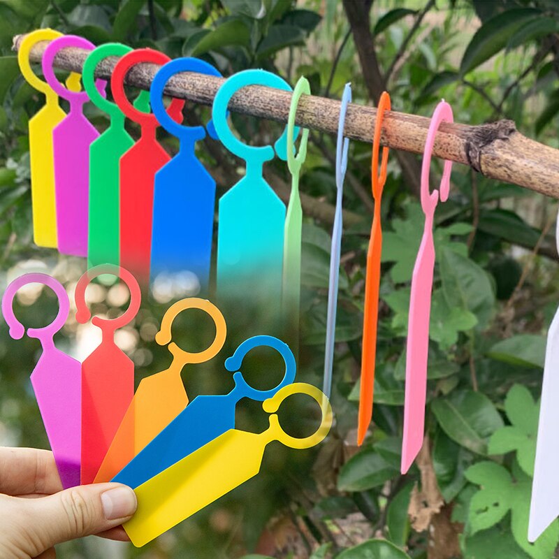 100Stck Hängen markieren Ring Etikett Kunststoff Dicken Wasserdicht Anlage markieren Klassifizierung Farbe Karten