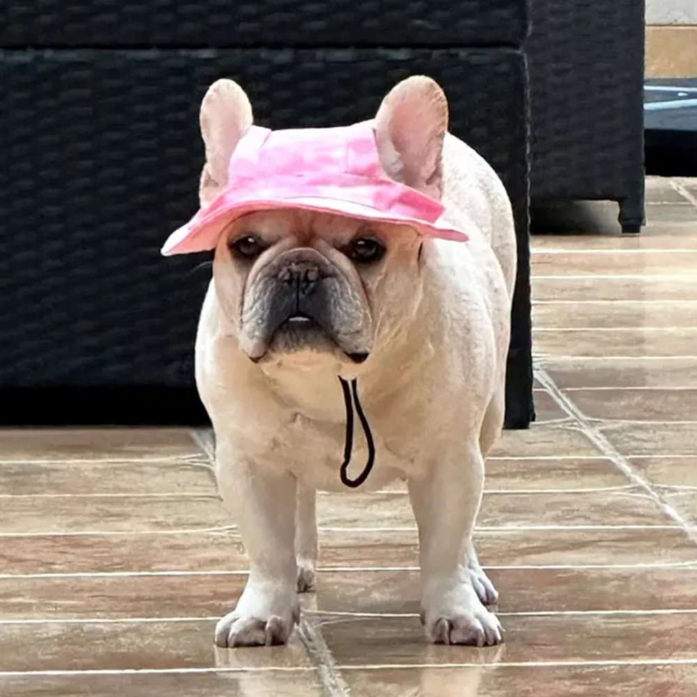 Mignon bouledogue français chapeaux pour animaux de compagnie avec trous d'oreille réglable chiot chien casquette chapeau pour petits chiens moyens carlin mascotas accessoires Costume