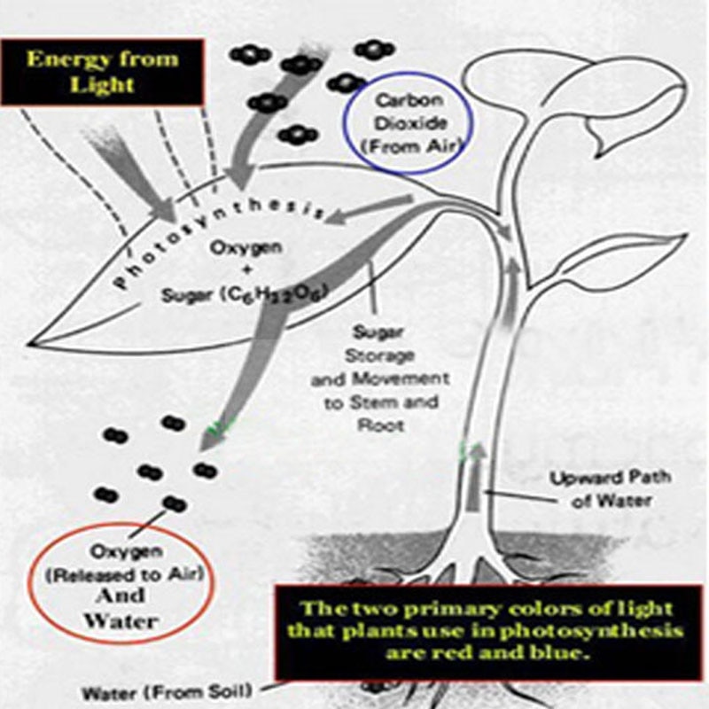 E27 led kweeklampen 18w spotlight bloem plantenbollen hydroponics systeem  ac 85v- 265v 110v 220v kweekkast vol spectrum