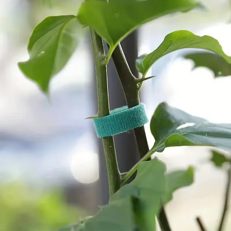 12m Garten Pflanzens tütze Krawatte 10mm selbst klebende Klebeband Clip Nylon Pflanzen Halfter Gurte wieder verwendbare Hof Bambus Rohr Pflege Befestigungs werkzeuge