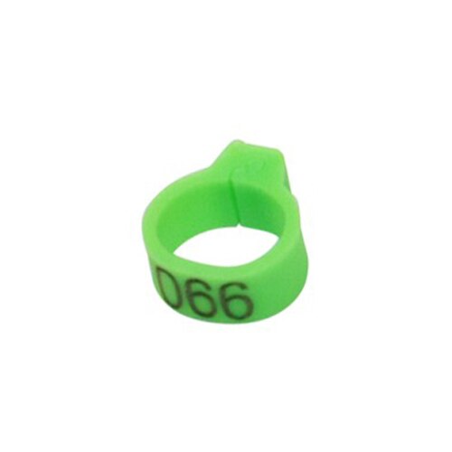Inner Diameter 8mm Pigeon Leg Poultry Dove Bird Parrot Clip Rings Band Foot Ring Pigeon Supplies Bird Appliances 100 Pcs/1 set: Green